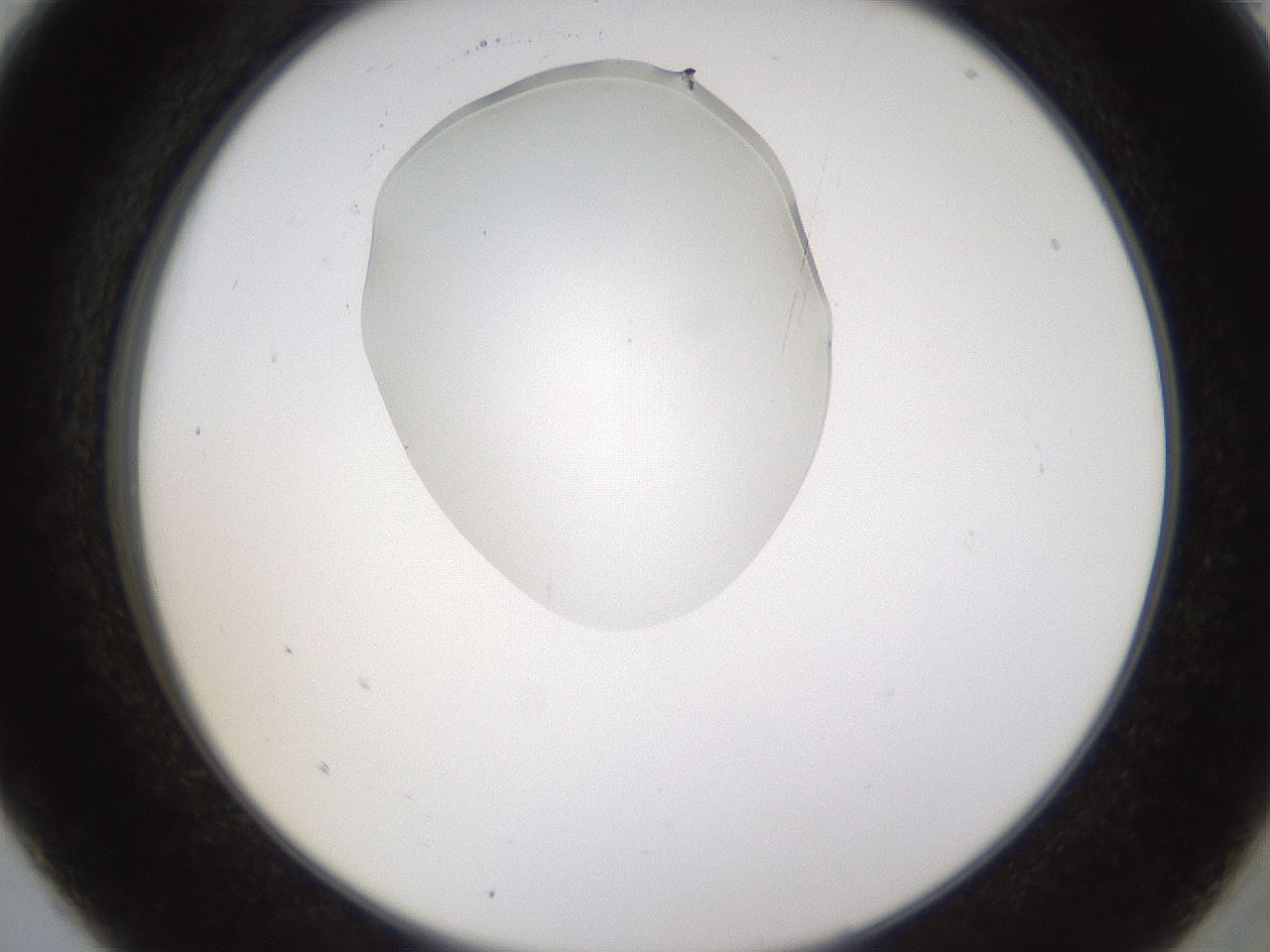 folderID594_plateID1594_batchID6733_wellNum5_profileID1_d2_r106941_ef.jpg