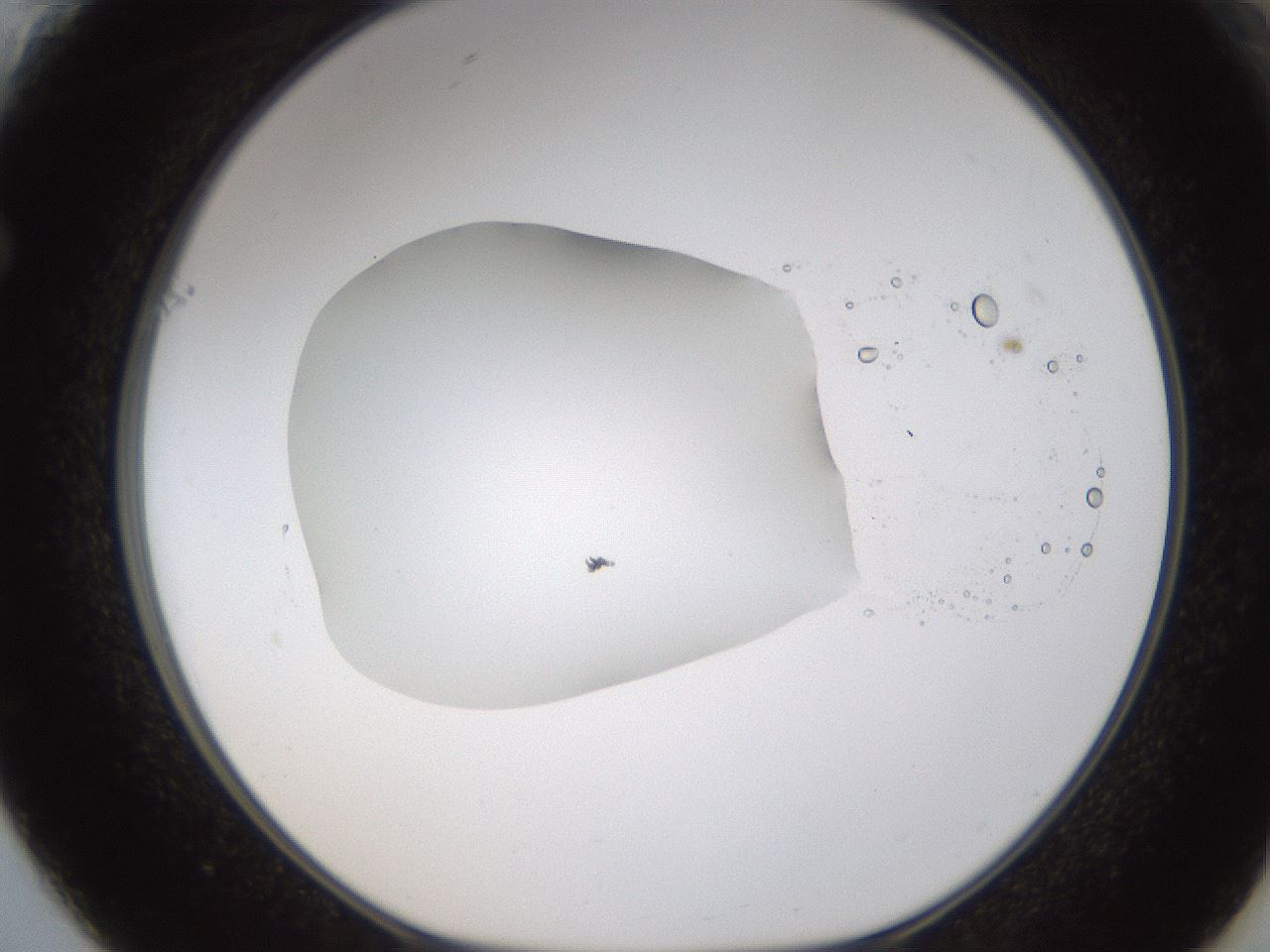 folderID594_plateID1594_batchID6733_wellNum61_profileID1_d1_r107052_ef.jpg