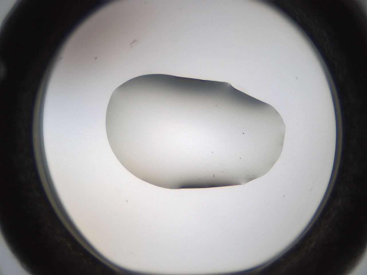 folderID594_plateID1594_batchID6733_wellNum63_profileID1_d1_r107056_ef.jpg
