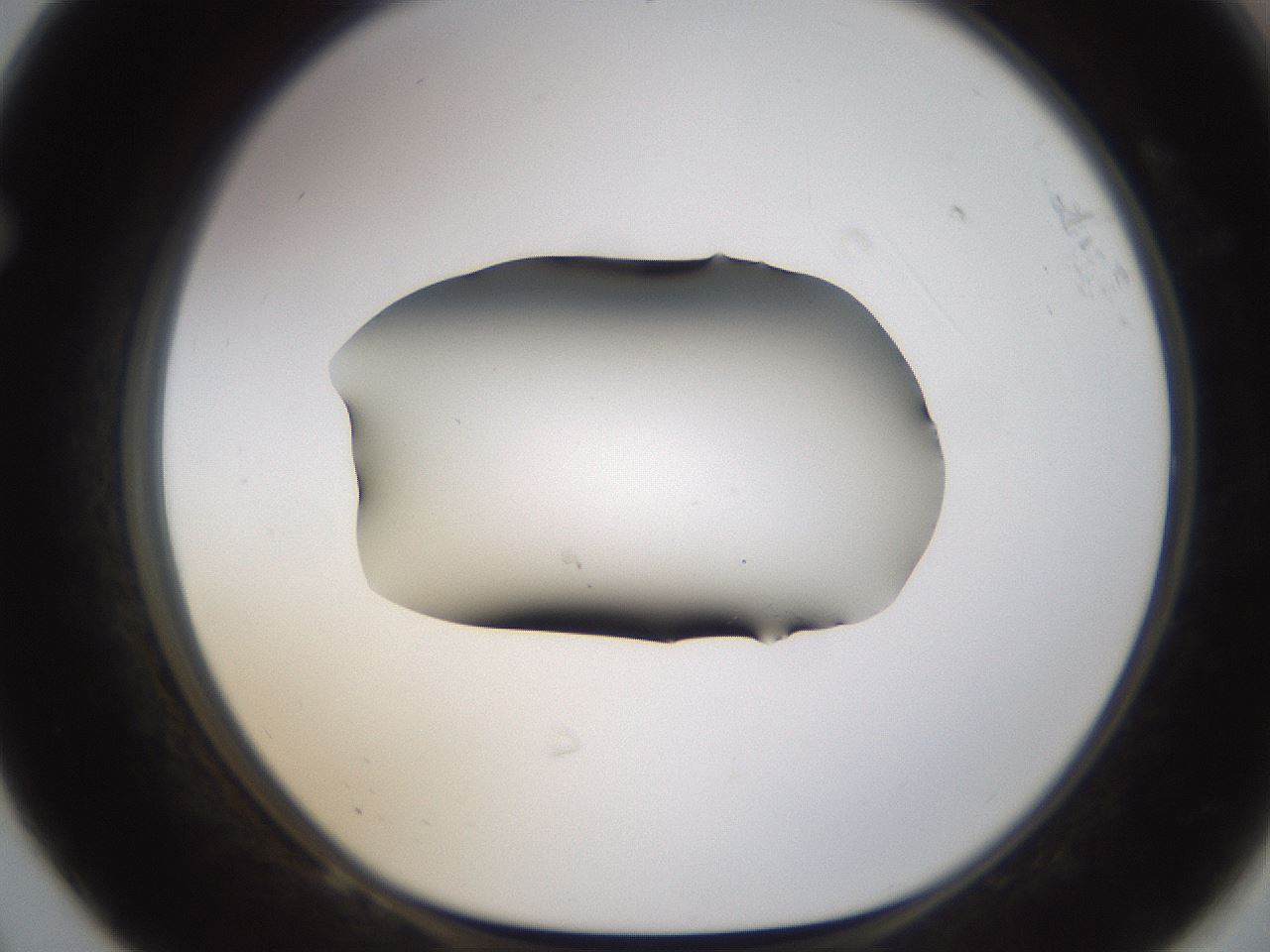 folderID594_plateID1594_batchID6733_wellNum68_profileID1_d1_r107066_ef.jpg