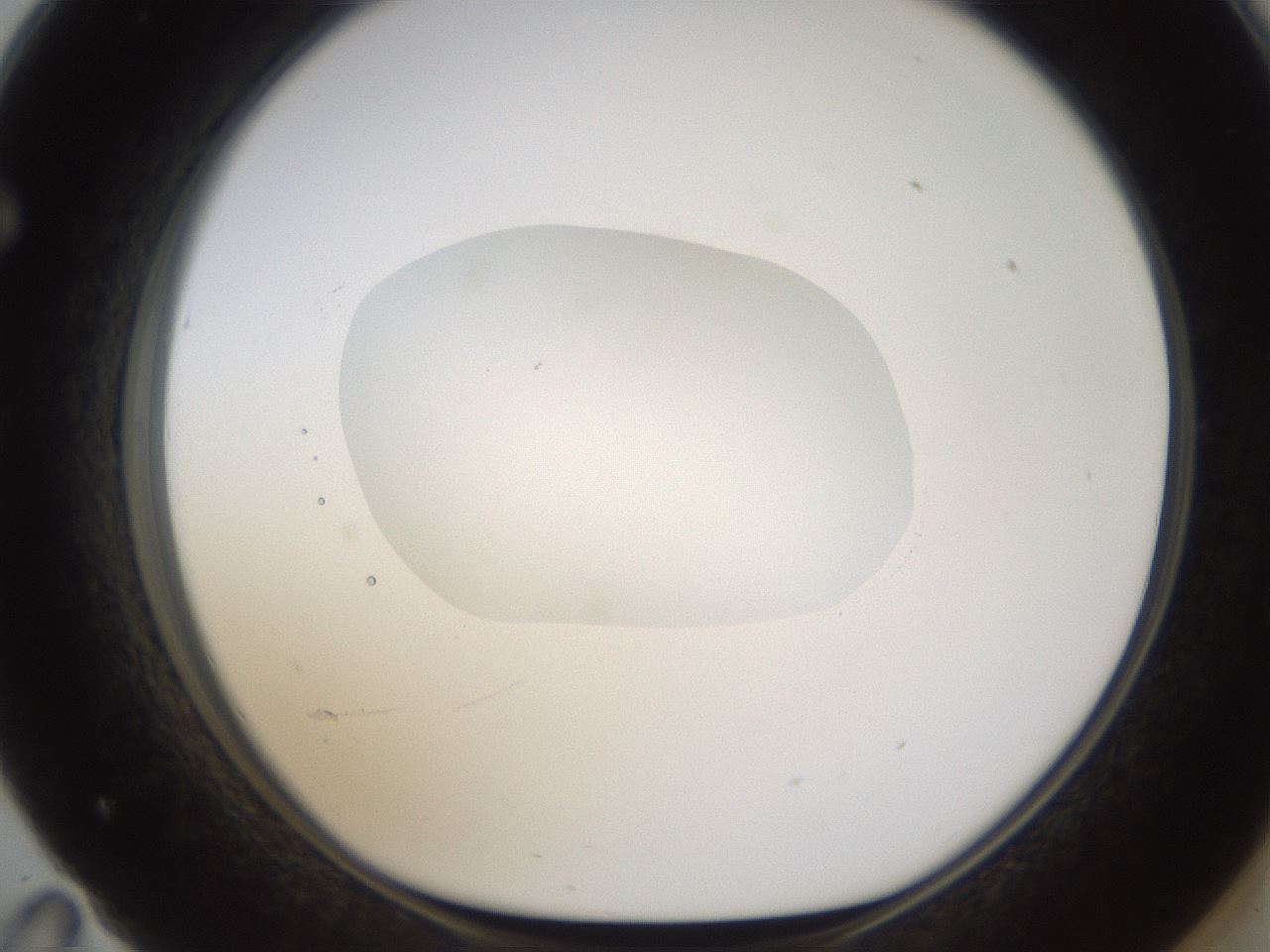 folderID594_plateID1594_batchID6733_wellNum71_profileID1_d1_r107072_ef.jpg