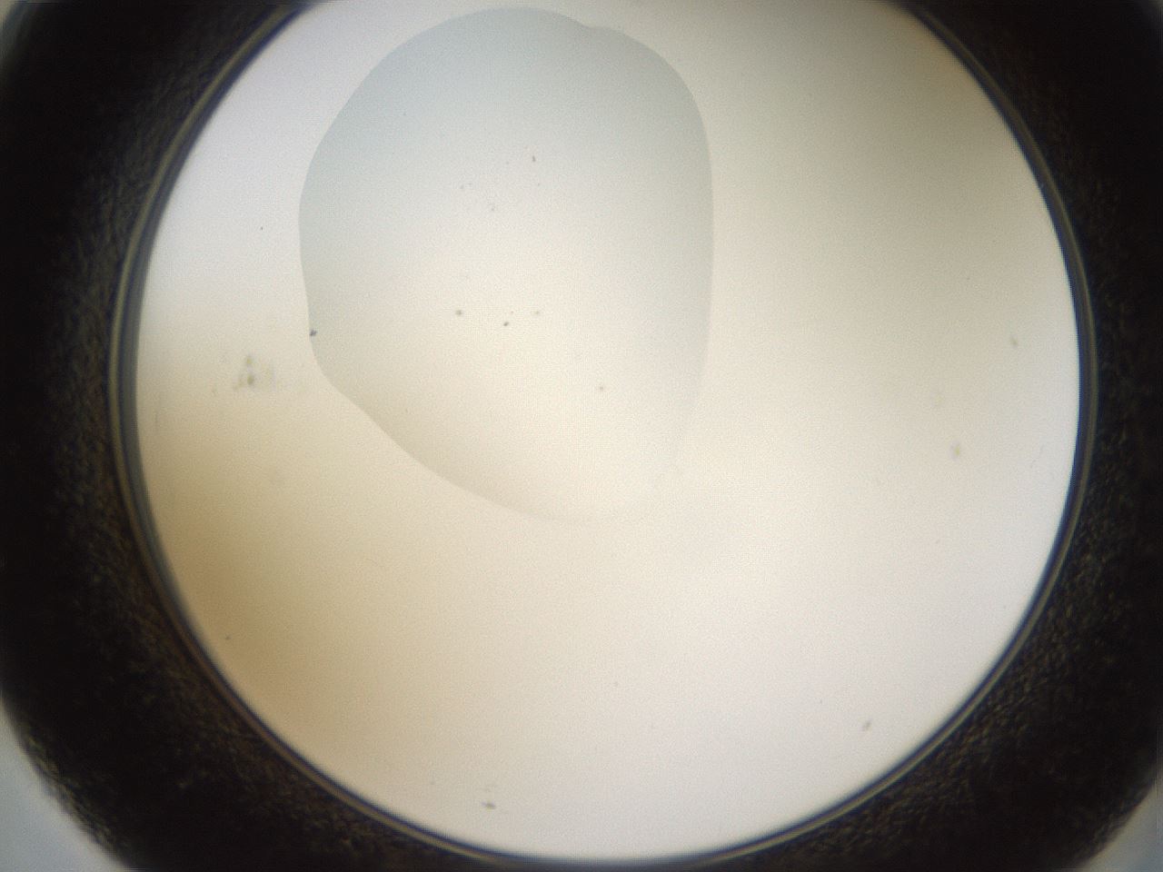folderID594_plateID1594_batchID6733_wellNum71_profileID1_d2_r107073_ef.jpg