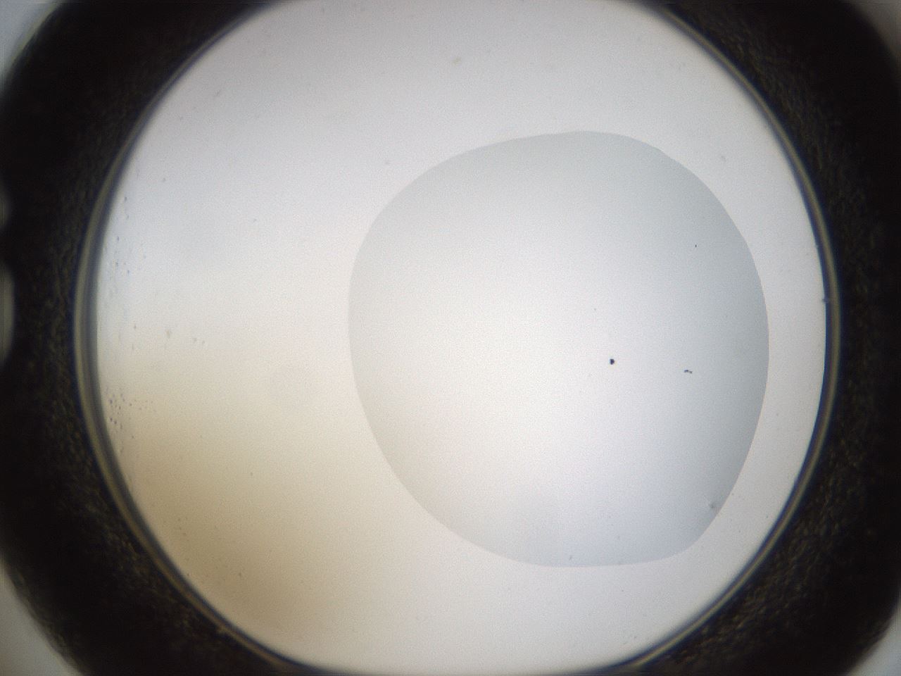 folderID594_plateID1594_batchID6733_wellNum73_profileID1_d1_r107076_ef.jpg