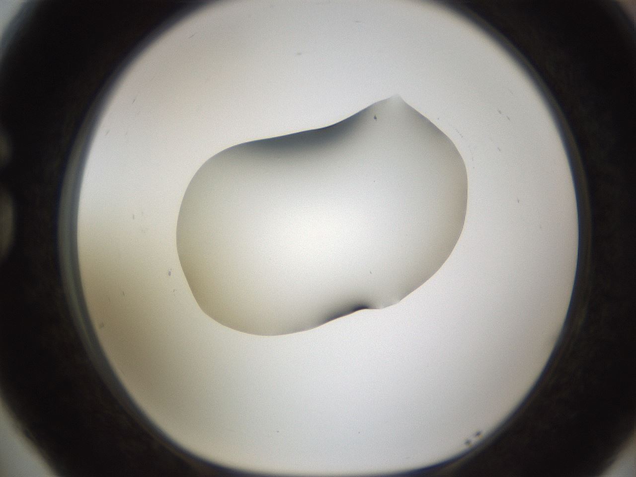 folderID594_plateID1594_batchID6733_wellNum77_profileID1_d1_r107084_ef.jpg