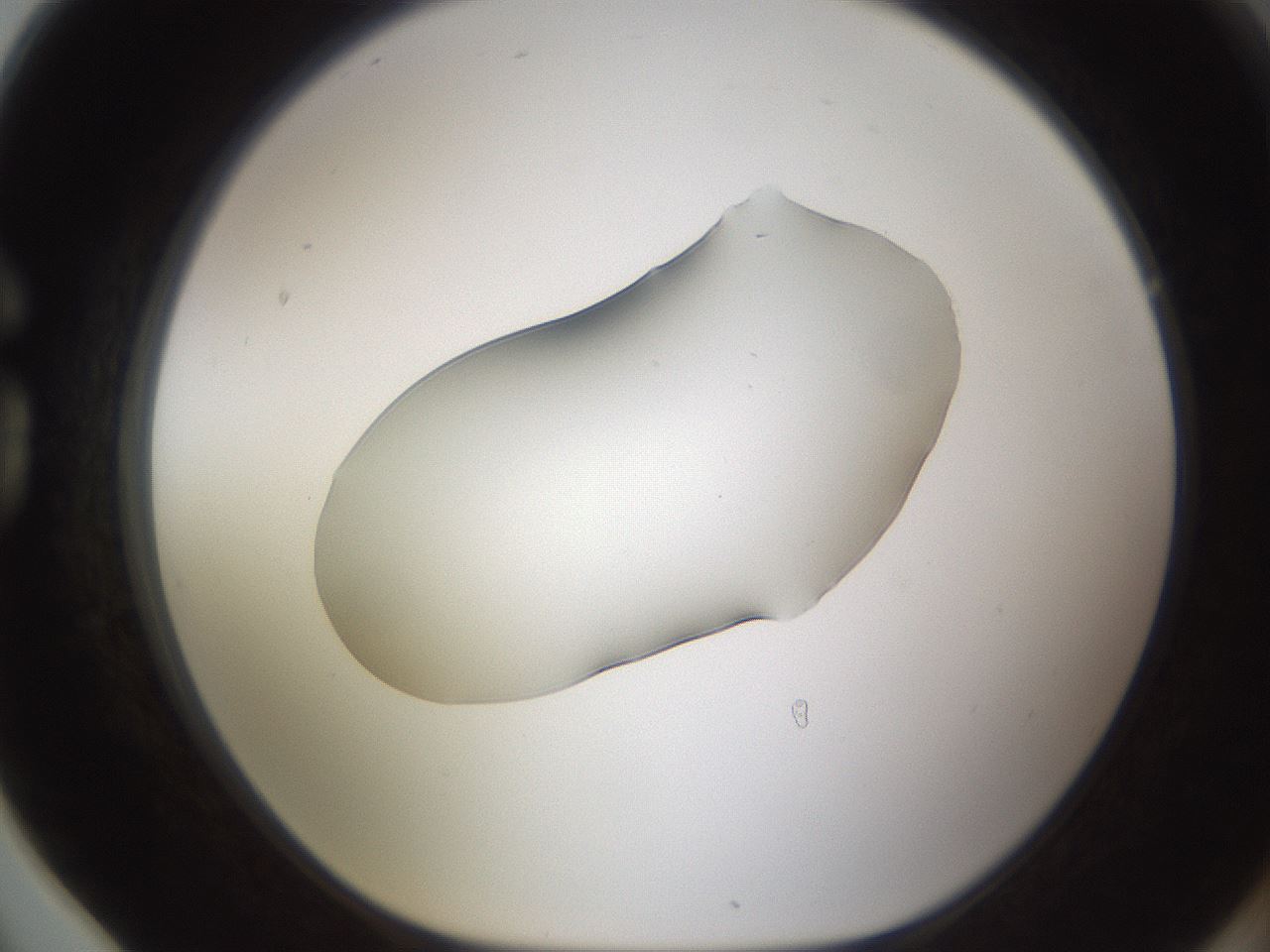 folderID594_plateID1594_batchID6733_wellNum78_profileID1_d1_r107086_ef.jpg