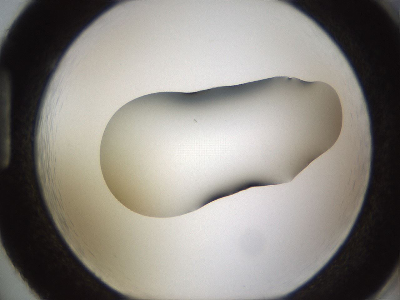 folderID594_plateID1594_batchID6733_wellNum86_profileID1_d1_r107102_ef.jpg