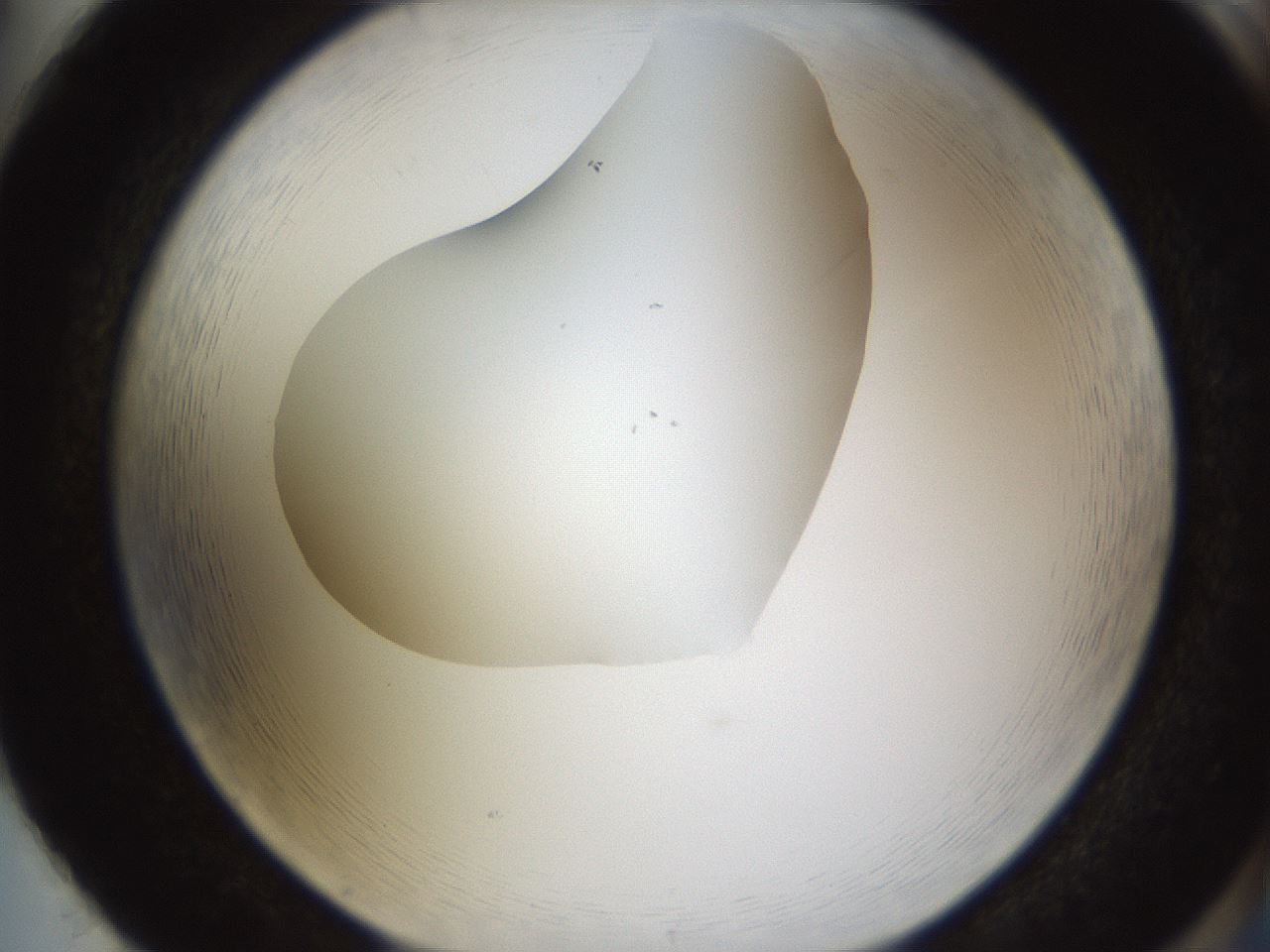 folderID594_plateID1594_batchID6733_wellNum86_profileID1_d2_r107103_ef.jpg