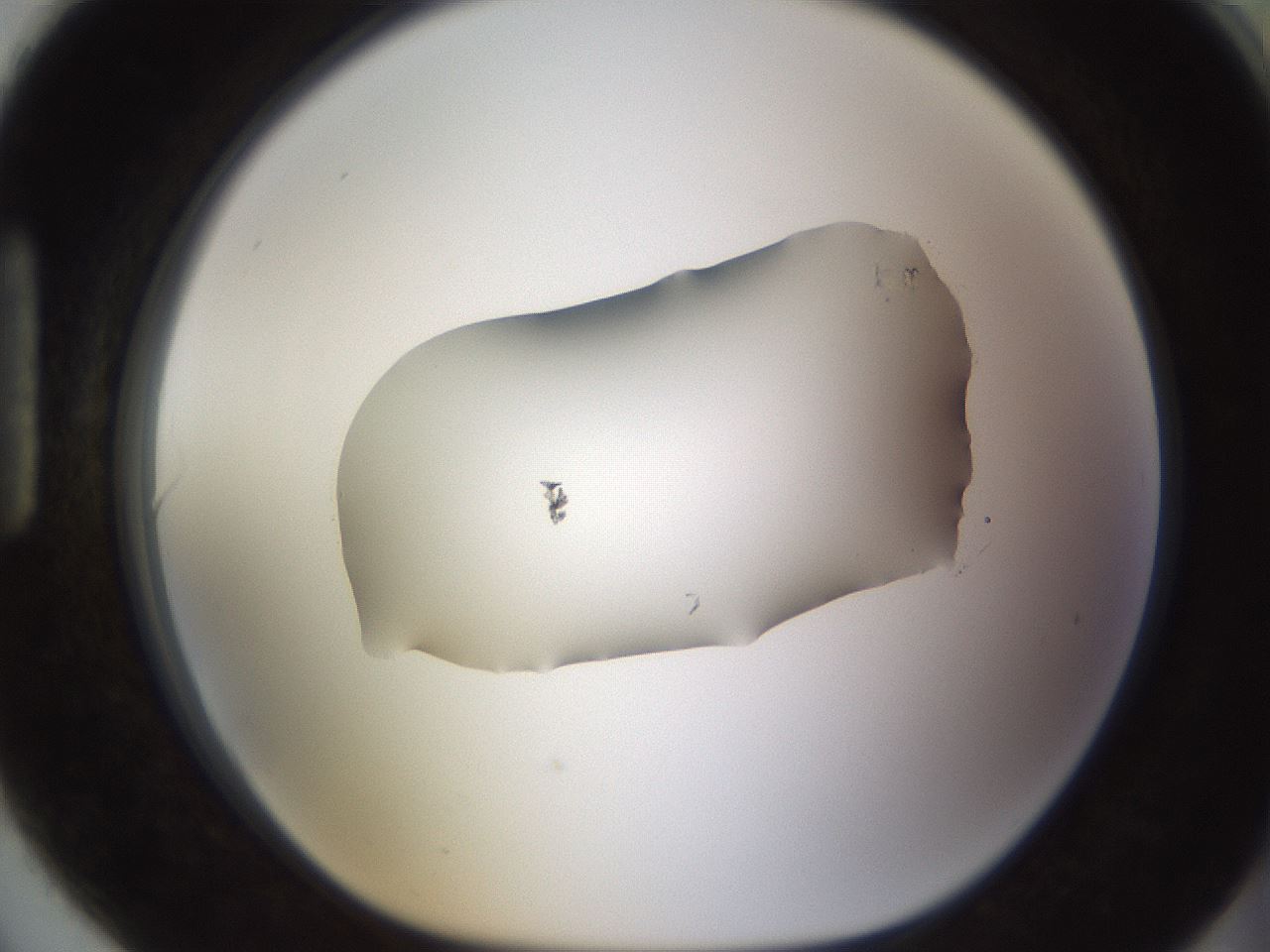 folderID594_plateID1594_batchID6733_wellNum90_profileID1_d1_r107110_ef.jpg