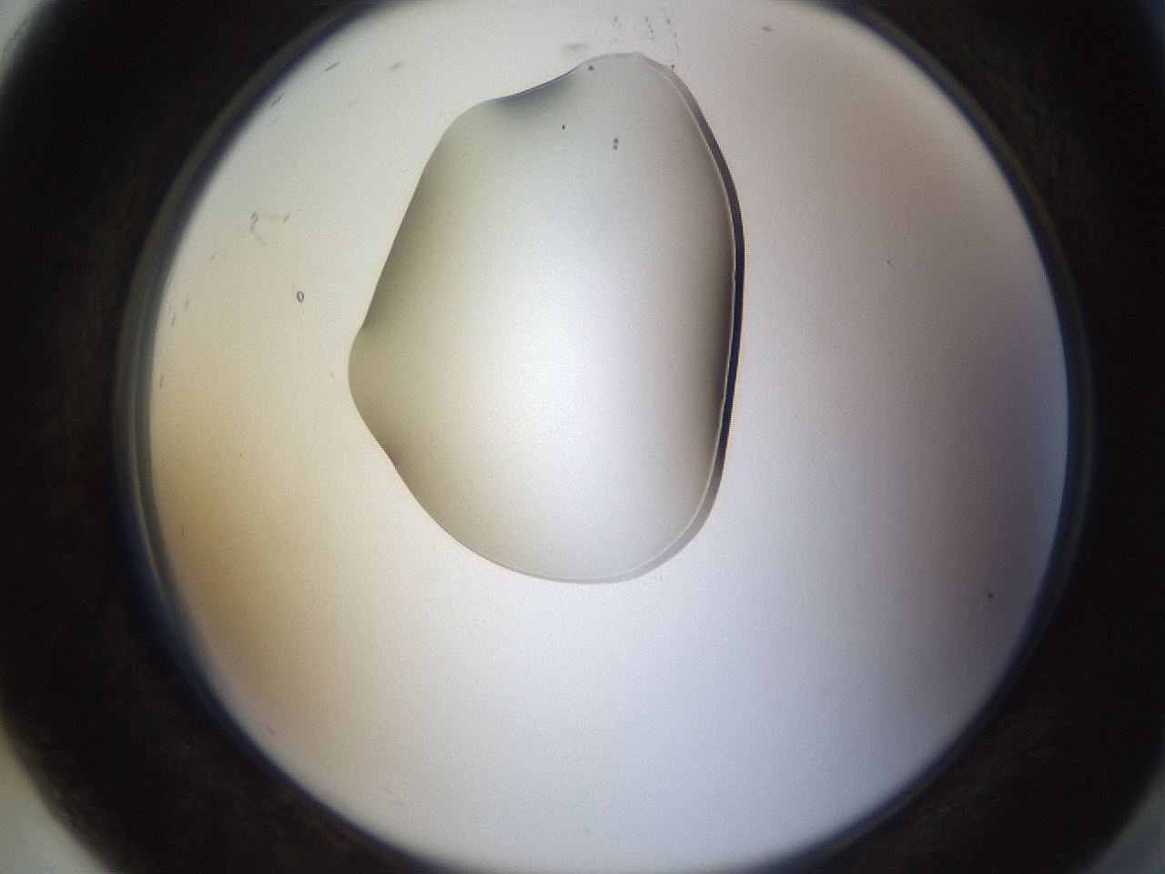 folderID594_plateID1594_batchID6733_wellNum92_profileID1_d2_r107115_ef.jpg