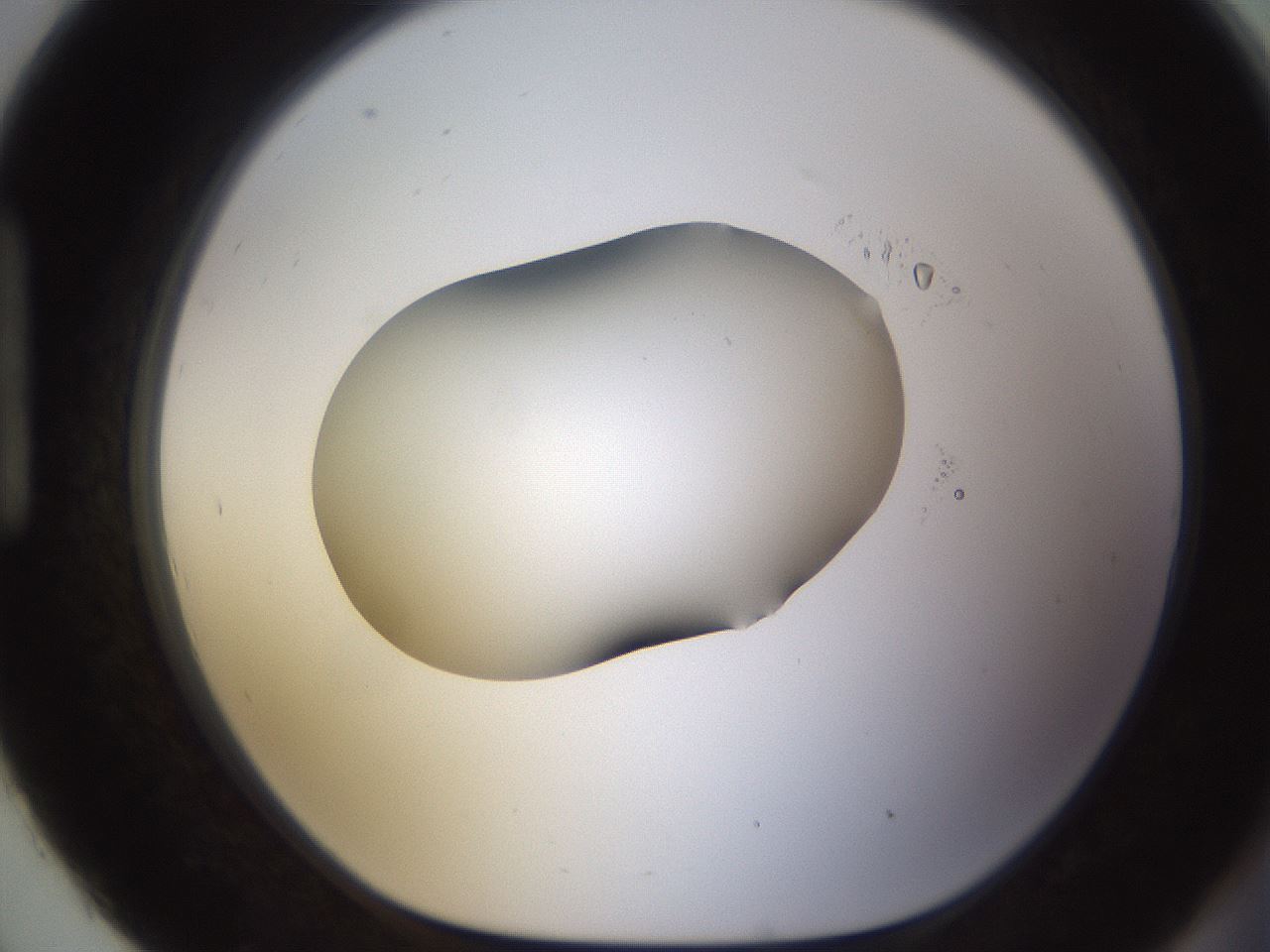 folderID594_plateID1594_batchID6733_wellNum93_profileID1_d1_r107116_ef.jpg
