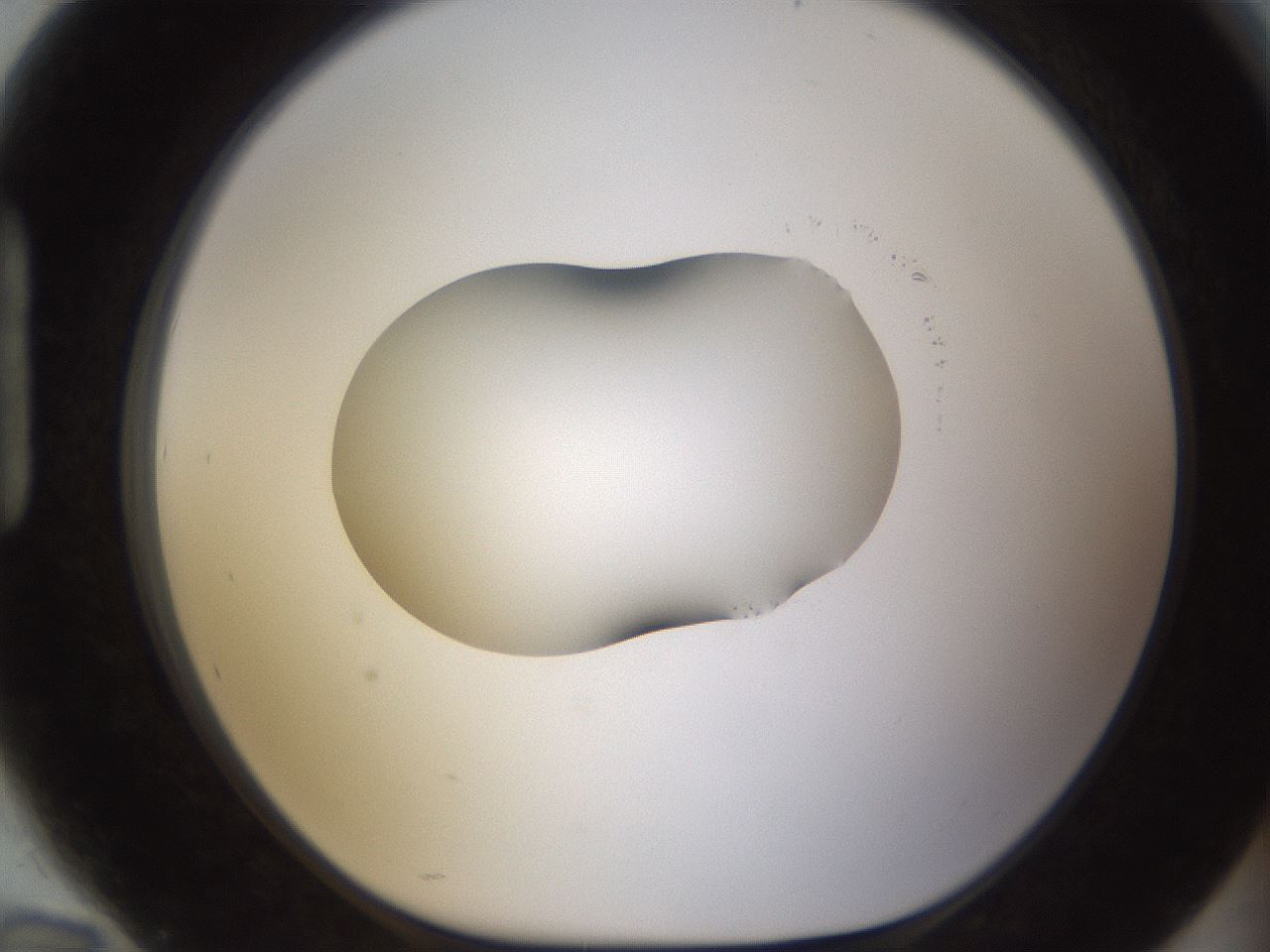 folderID594_plateID1594_batchID6733_wellNum94_profileID1_d1_r107118_ef.jpg