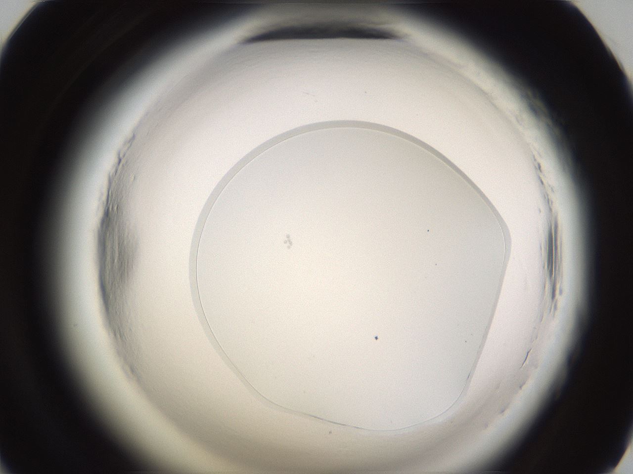 folderID594_plateID2594_batchID13187_wellNum57_profileID1_d1_r205522_ef.jpg