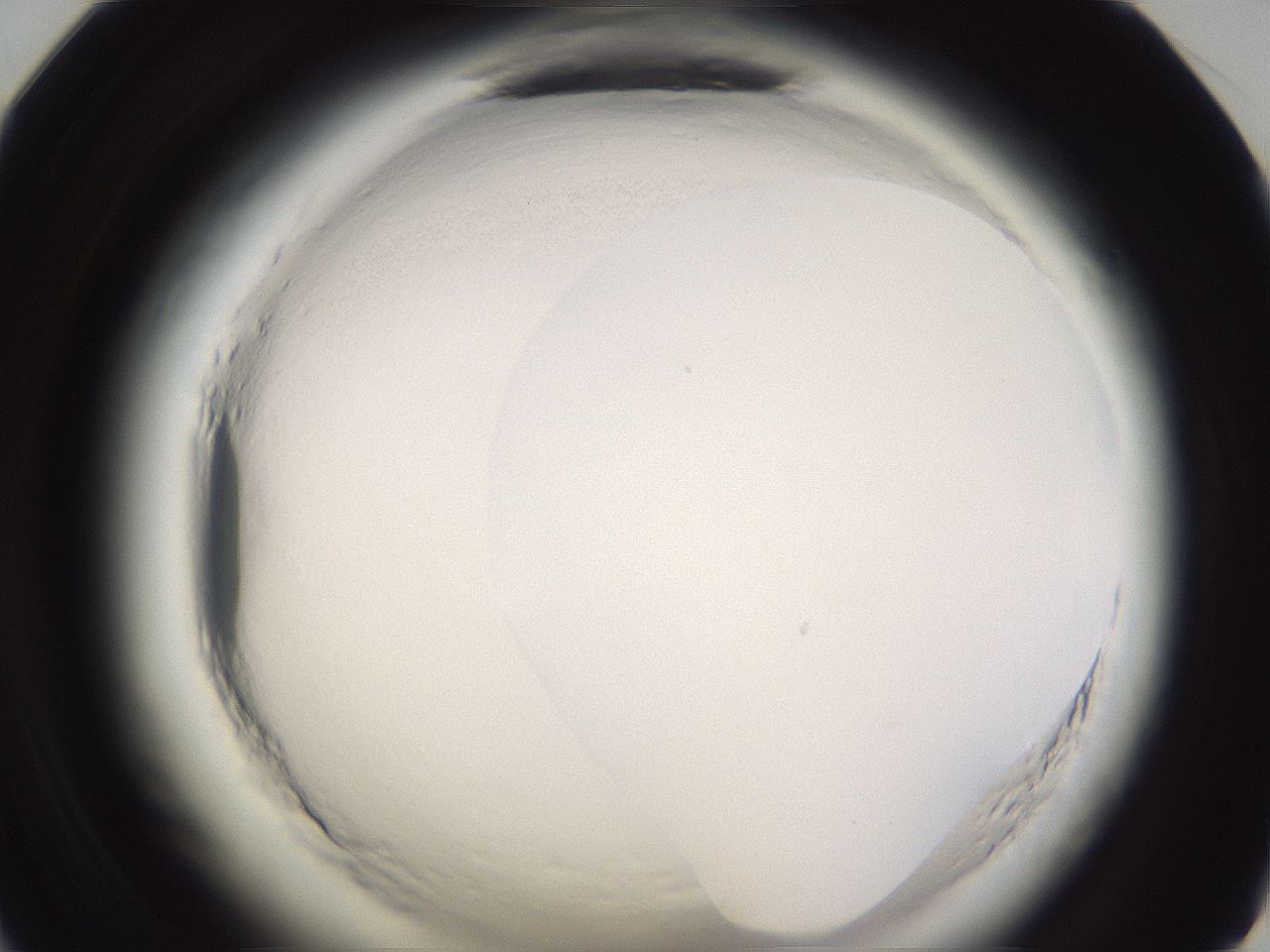 folderID594_plateID2594_batchID13187_wellNum59_profileID1_d1_r205528_ef.jpg