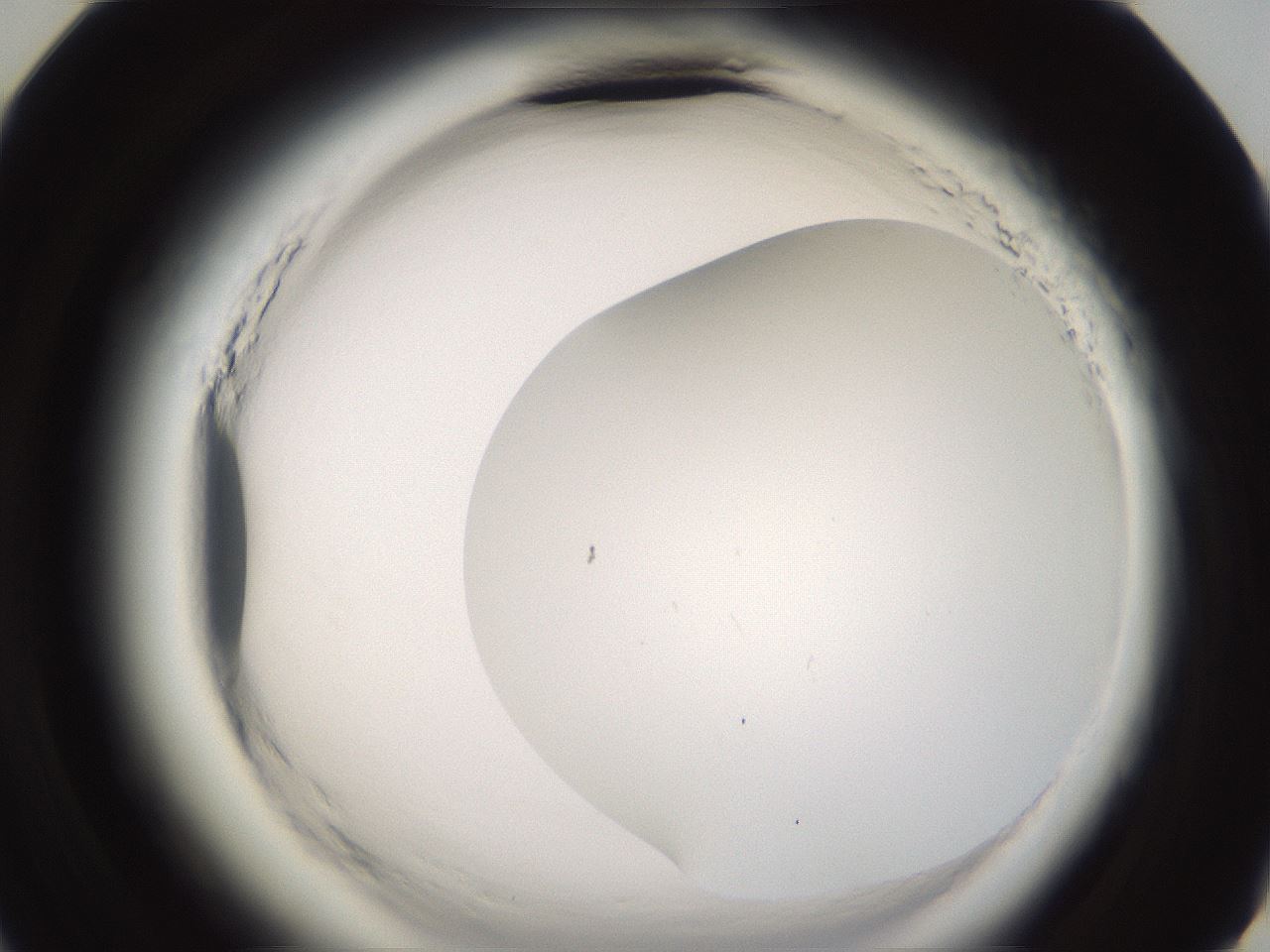 folderID594_plateID2594_batchID13187_wellNum59_profileID1_d3_r205530_ef.jpg