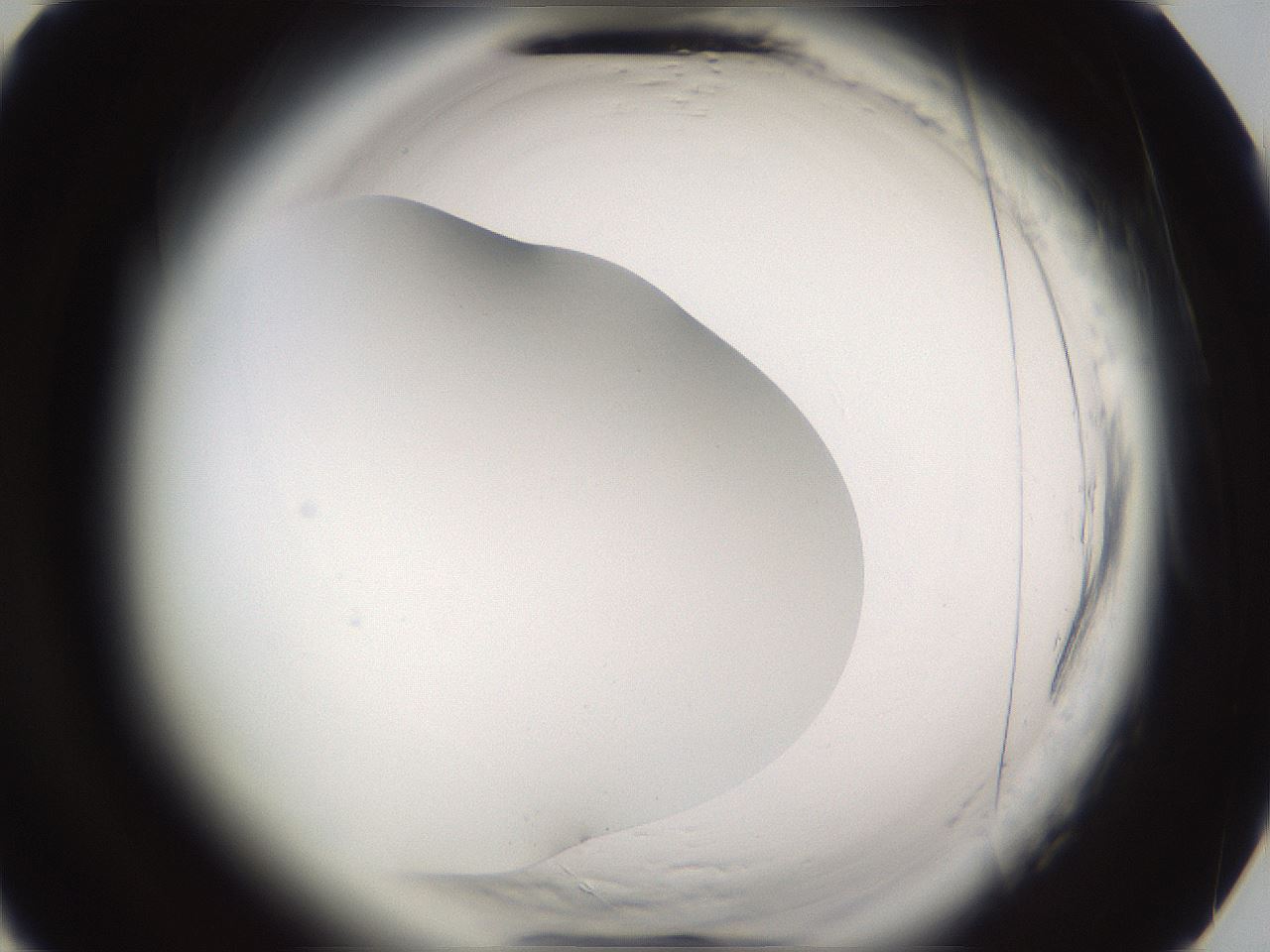 folderID594_plateID2594_batchID13187_wellNum75_profileID1_d3_r205578_ef.jpg