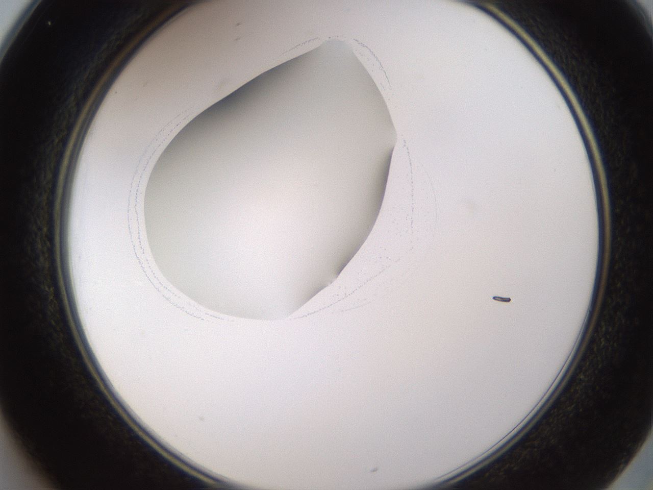 folderID595_plateID1595_batchID6723_wellNum25_profileID1_d2_r105061_ef.jpg