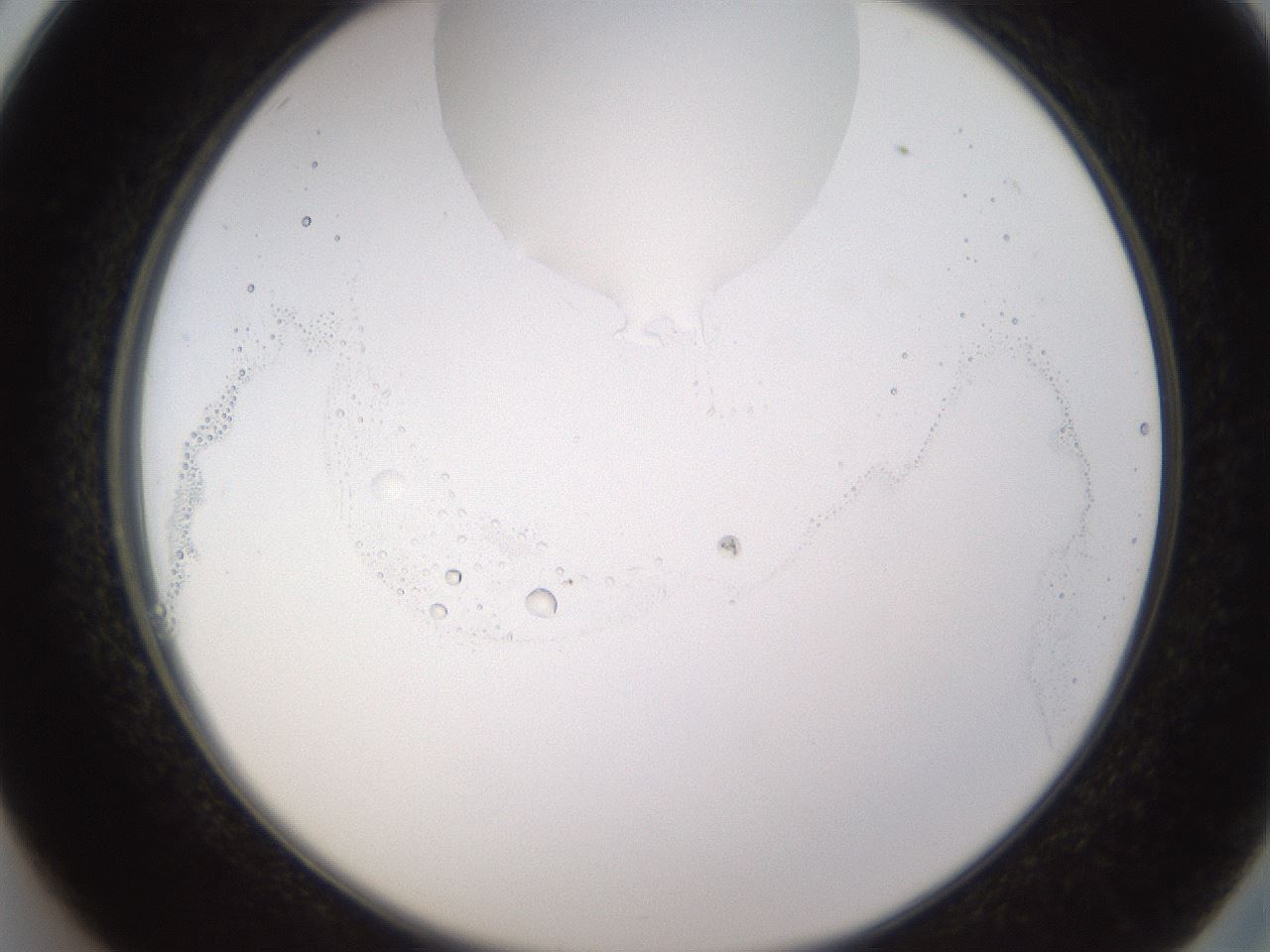 folderID595_plateID1595_batchID6723_wellNum26_profileID1_d2_r105063_ef.jpg
