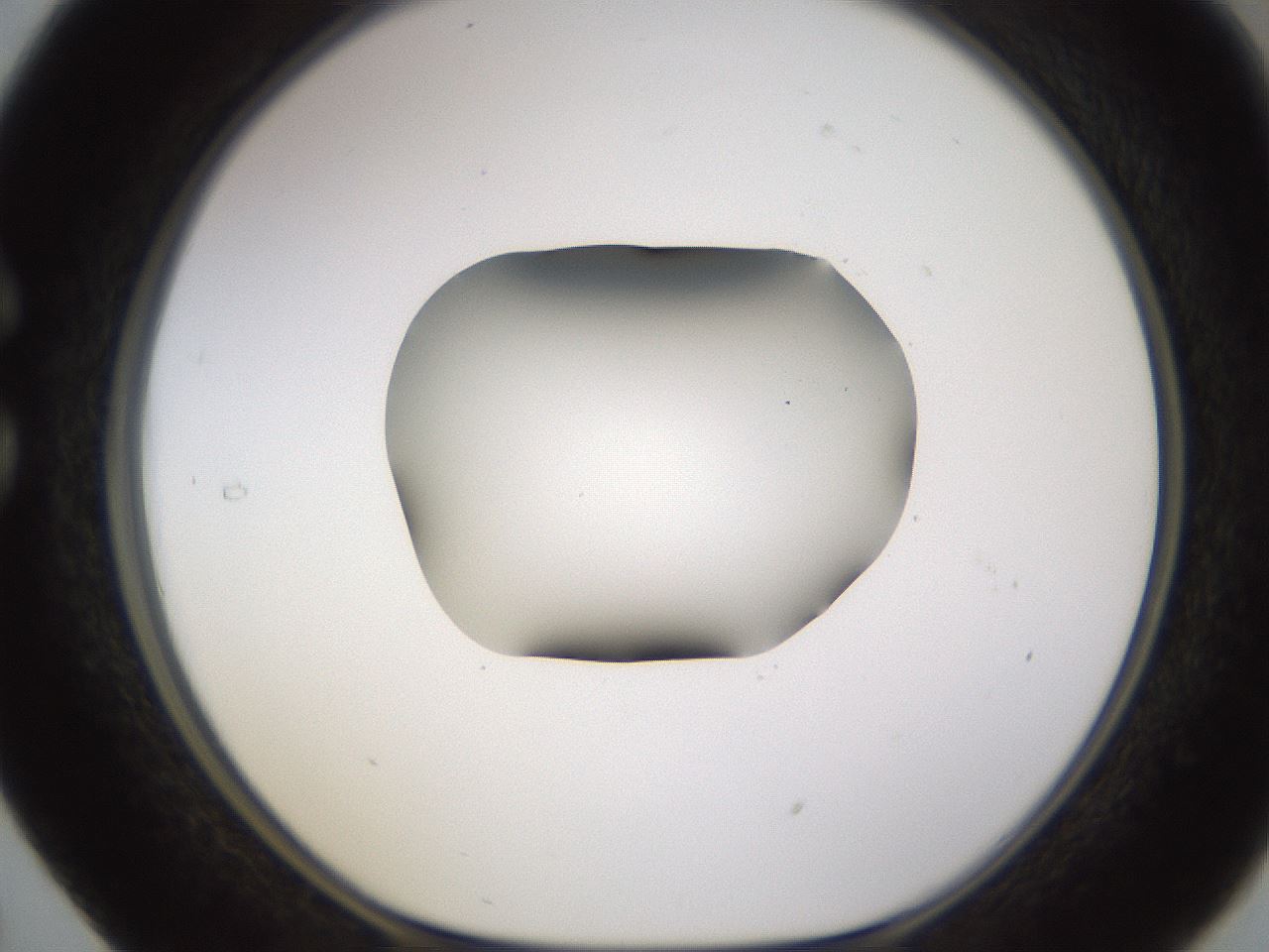 folderID595_plateID1595_batchID6723_wellNum29_profileID1_d1_r105068_ef.jpg