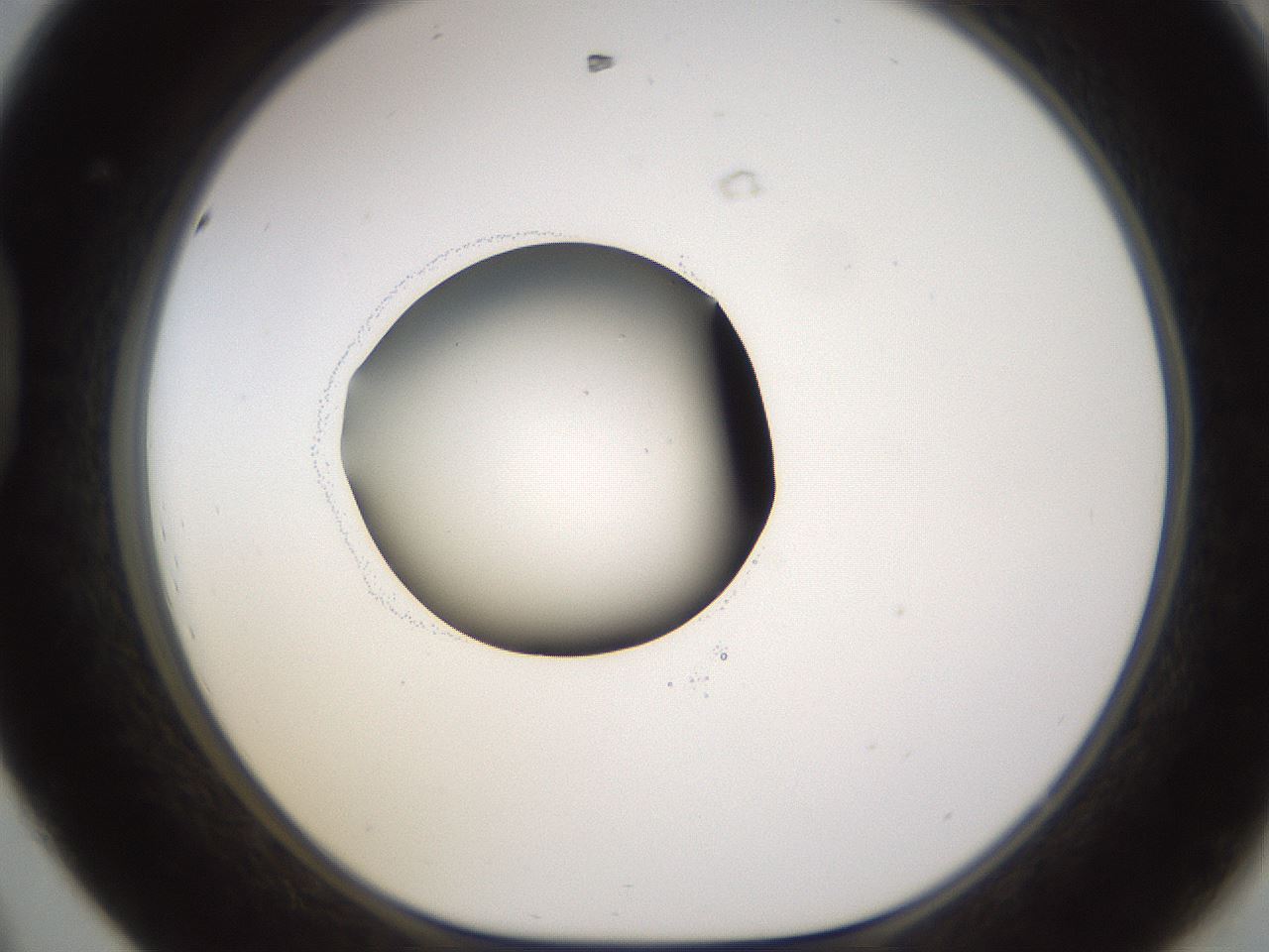 folderID595_plateID1595_batchID6723_wellNum44_profileID1_d1_r105098_ef.jpg