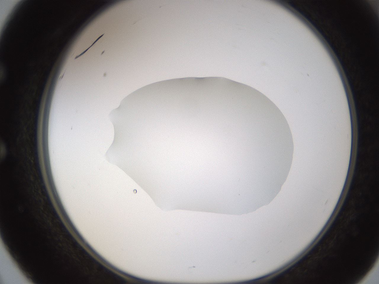 folderID595_plateID1595_batchID6723_wellNum51_profileID1_d1_r105112_ef.jpg