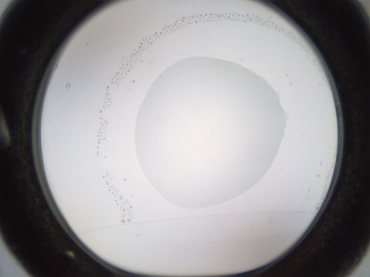 folderID595_plateID1595_batchID6723_wellNum5_profileID1_d1_r105020_ef.jpg