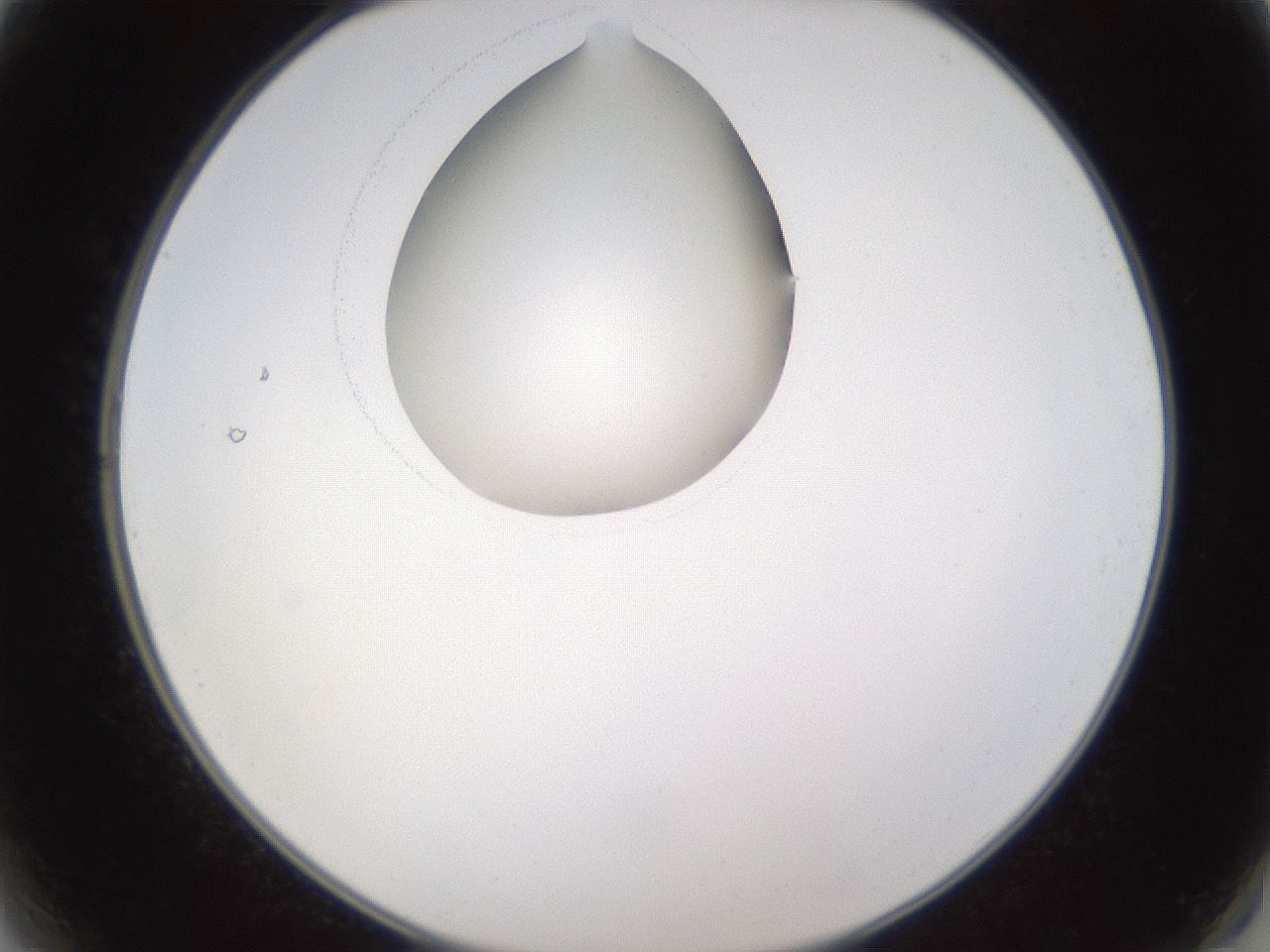 folderID595_plateID1595_batchID6723_wellNum2_profileID1_d2_r105015_ef.jpg