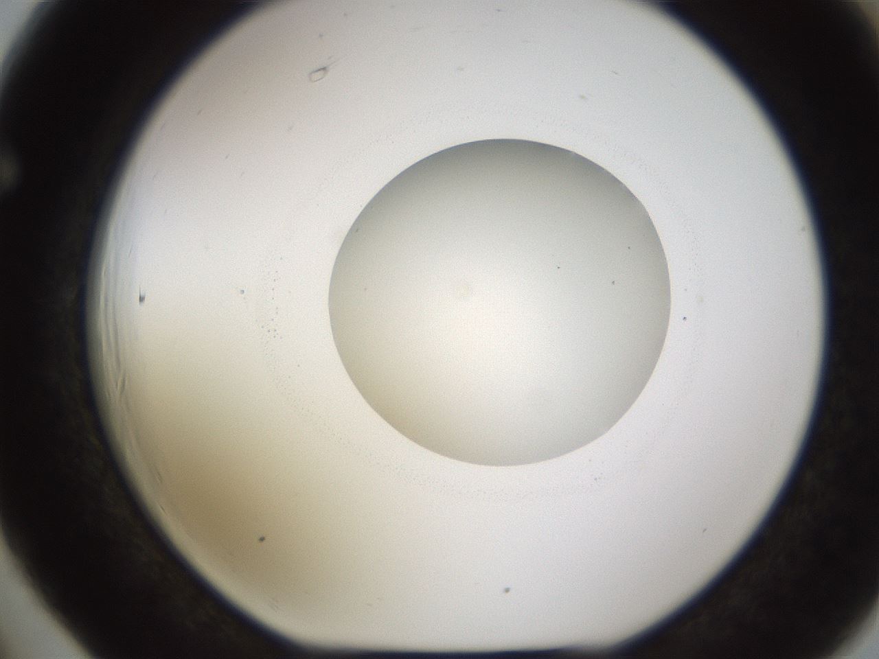 folderID595_plateID1595_batchID6723_wellNum66_profileID1_d1_r105142_ef.jpg