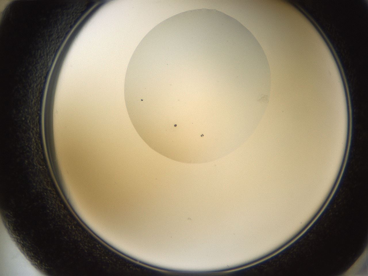 folderID595_plateID1595_batchID6723_wellNum72_profileID1_d2_r105155_ef.jpg