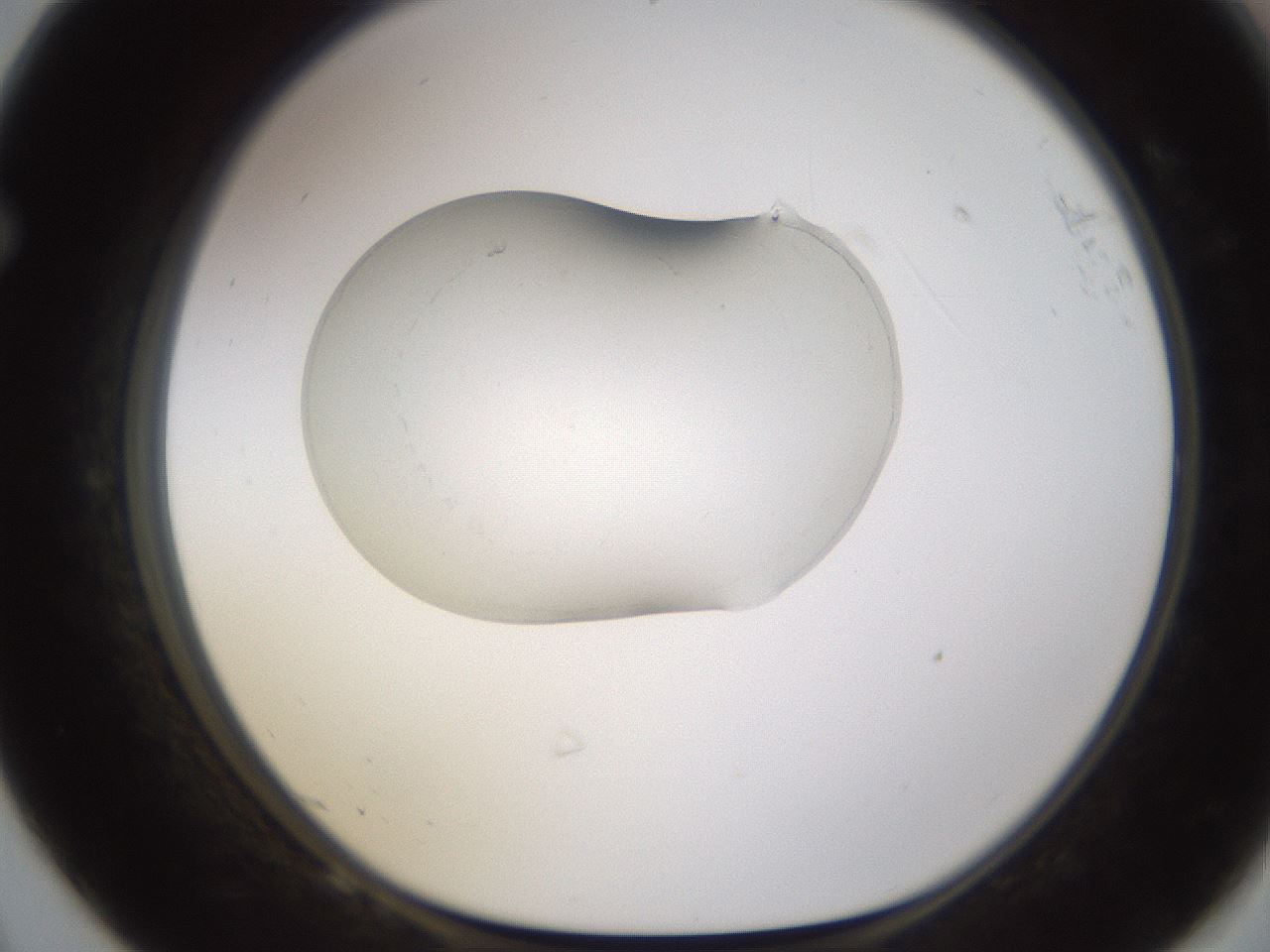 folderID595_plateID1595_batchID6723_wellNum68_profileID1_d1_r105146_ef.jpg