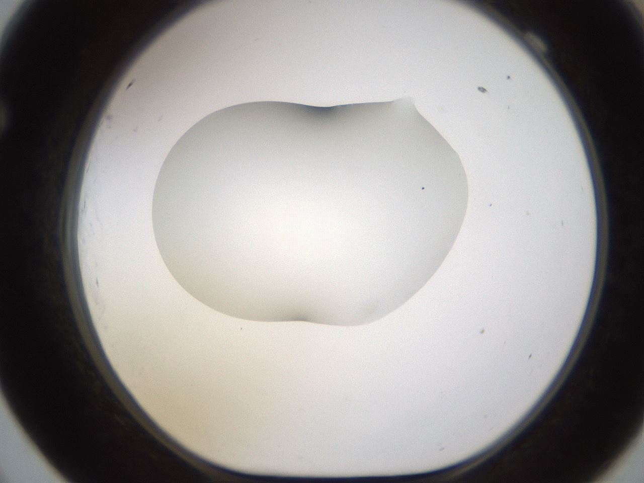 folderID595_plateID1595_batchID6723_wellNum69_profileID1_d1_r105148_ef.jpg