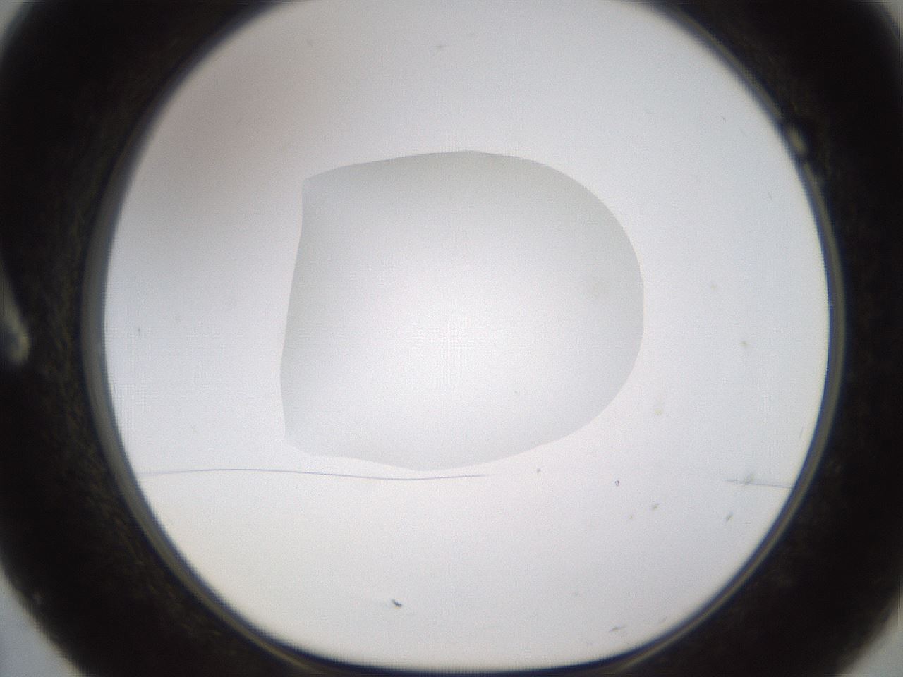 folderID595_plateID1595_batchID6723_wellNum7_profileID1_d1_r105024_ef.jpg