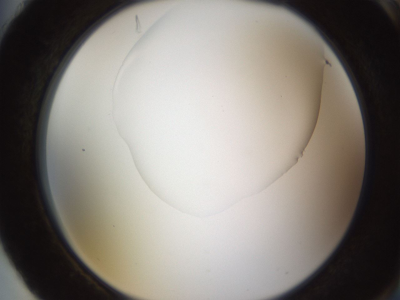 folderID595_plateID1595_batchID6723_wellNum88_profileID1_d2_r105187_ef.jpg