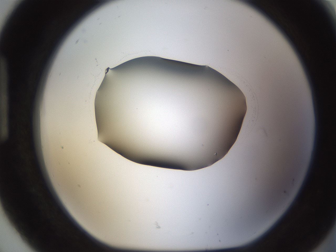 folderID595_plateID1595_batchID6723_wellNum92_profileID1_d1_r105194_ef.jpg
