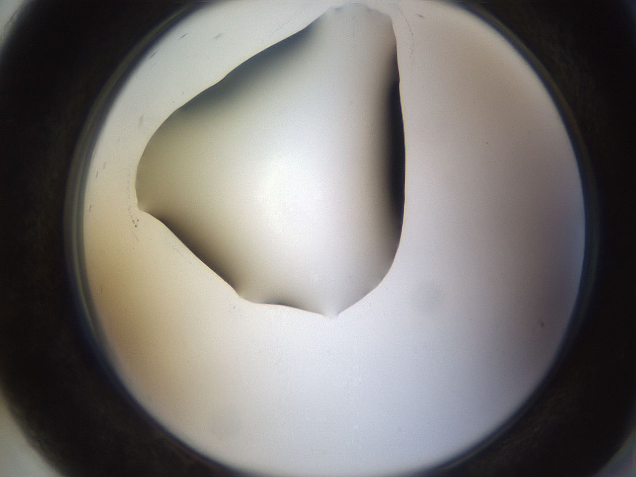 folderID595_plateID1595_batchID6723_wellNum92_profileID1_d2_r105195_ef.jpg