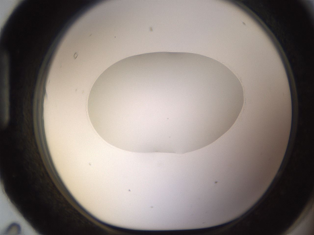 folderID595_plateID1595_batchID6723_wellNum95_profileID1_d1_r105200_ef.jpg