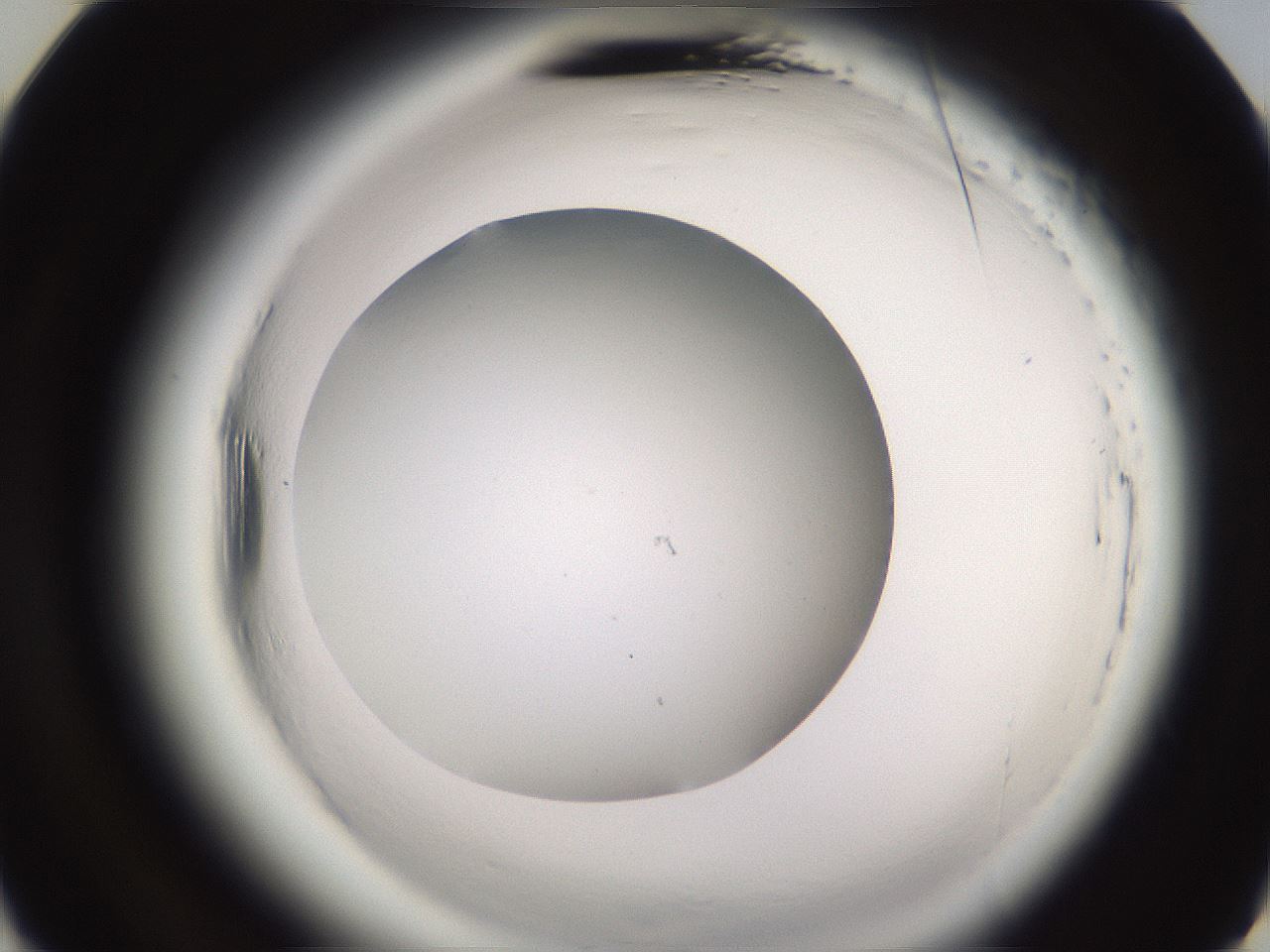 folderID595_plateID2595_batchID13189_wellNum21_profileID1_d3_r206280_ef.jpg
