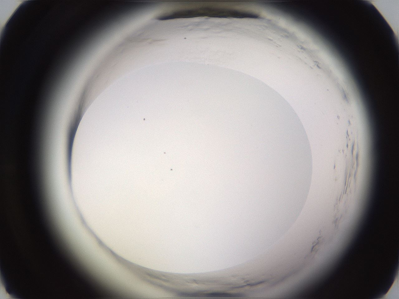 folderID595_plateID2595_batchID13189_wellNum25_profileID1_d1_r206290_ef.jpg