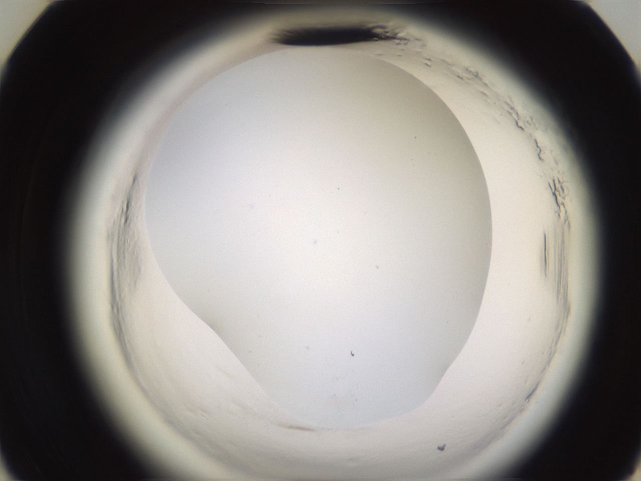 folderID595_plateID2595_batchID13189_wellNum35_profileID1_d3_r206322_ef.jpg