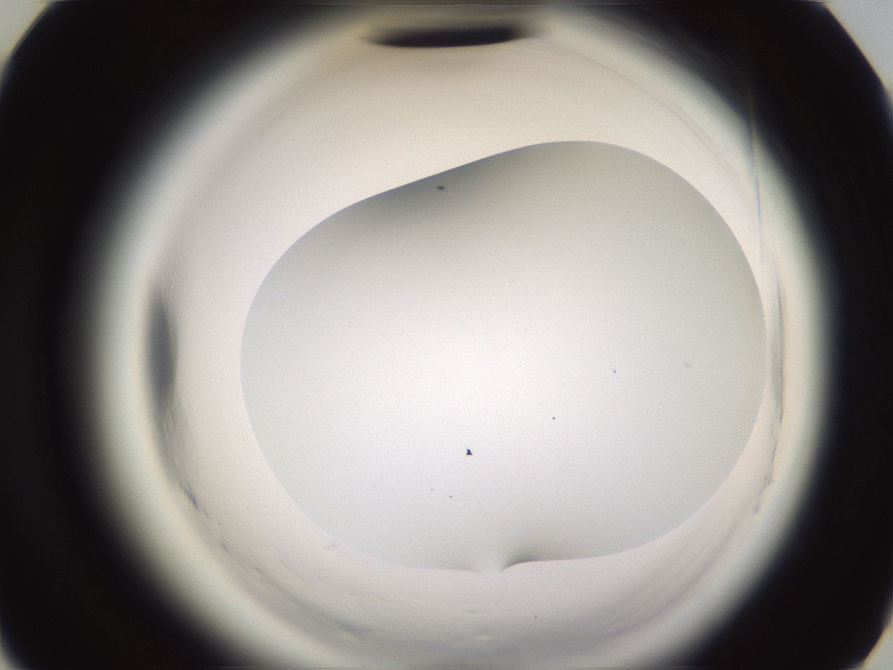 folderID595_plateID2595_batchID13189_wellNum43_profileID1_d3_r206346_ef.jpg