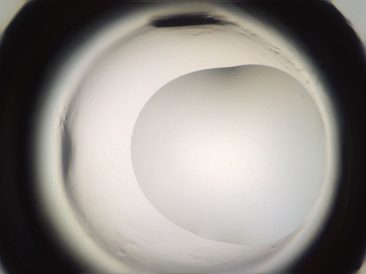 folderID595_plateID2595_batchID13189_wellNum47_profileID1_d3_r206358_ef.jpg
