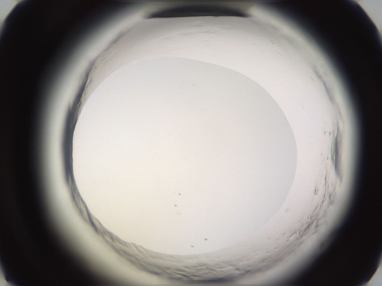 folderID595_plateID2595_batchID13189_wellNum49_profileID1_d1_r206362_ef.jpg