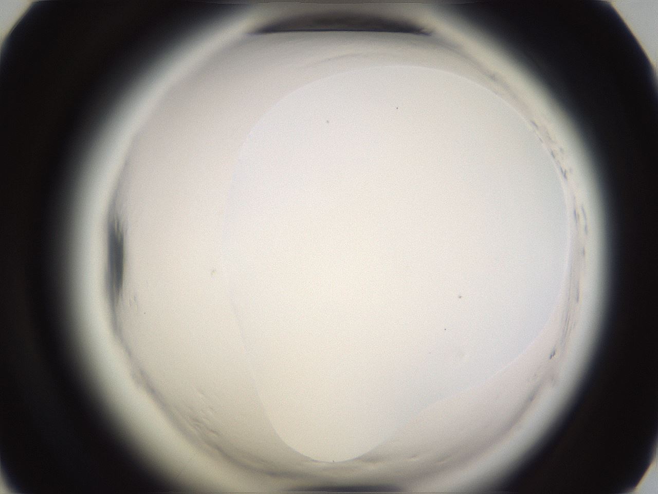 folderID595_plateID2595_batchID13189_wellNum54_profileID1_d1_r206377_ef.jpg