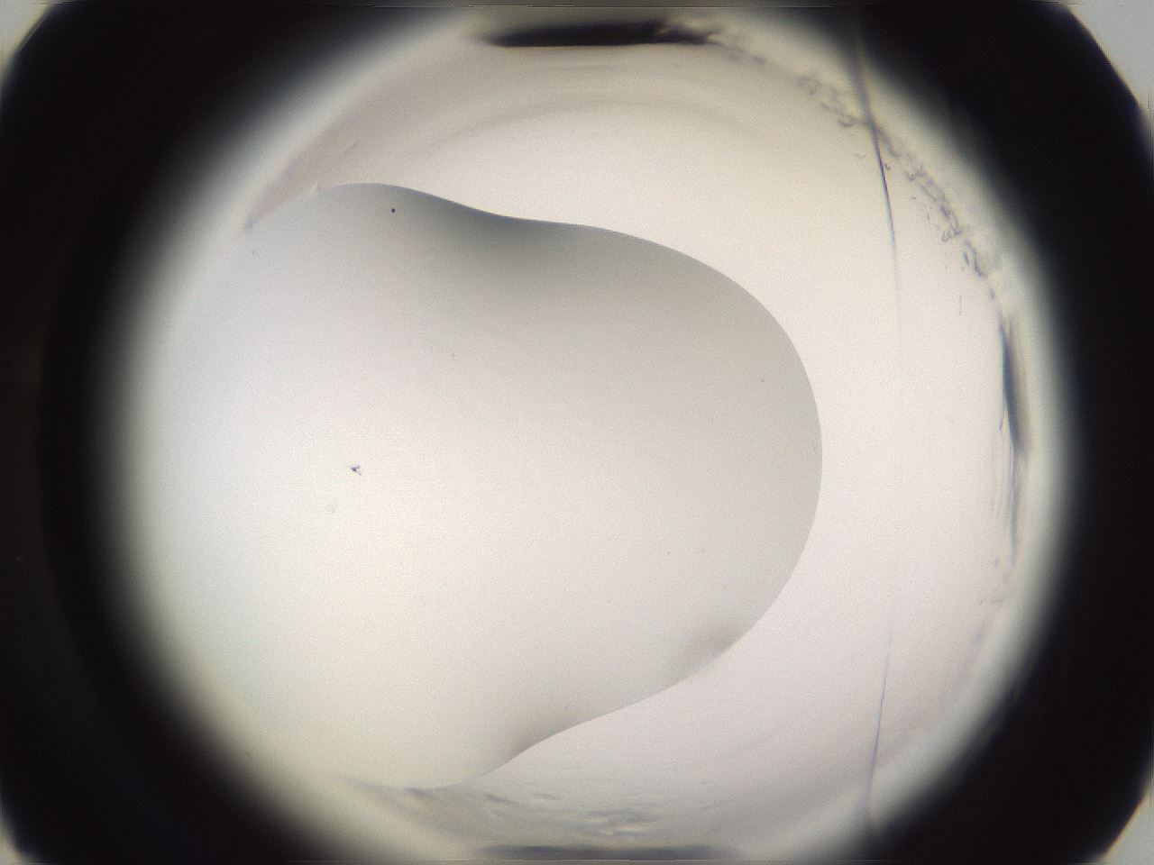 folderID595_plateID2595_batchID13189_wellNum51_profileID1_d3_r206370_ef.jpg