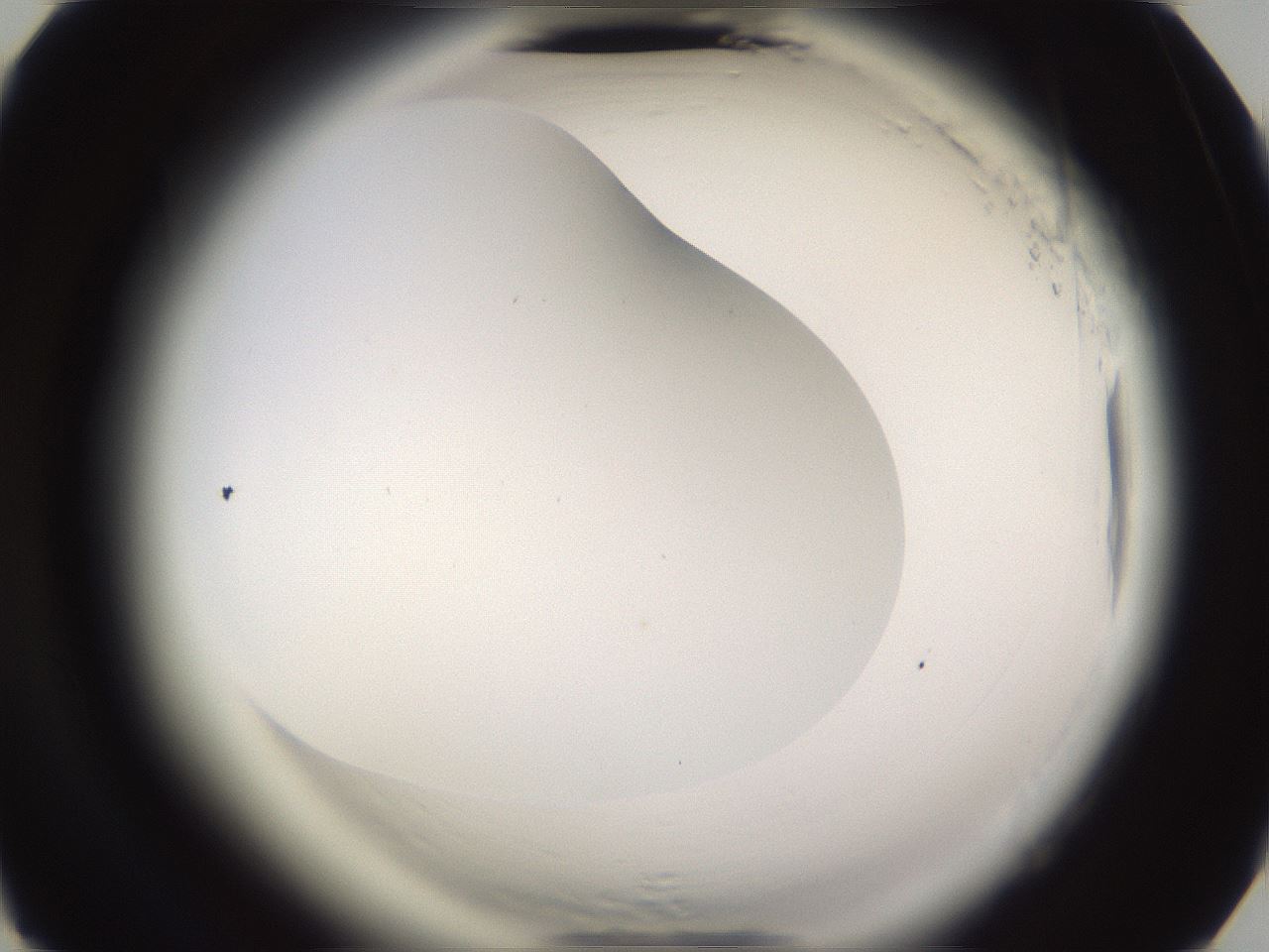folderID595_plateID2595_batchID13189_wellNum63_profileID1_d3_r206406_ef.jpg