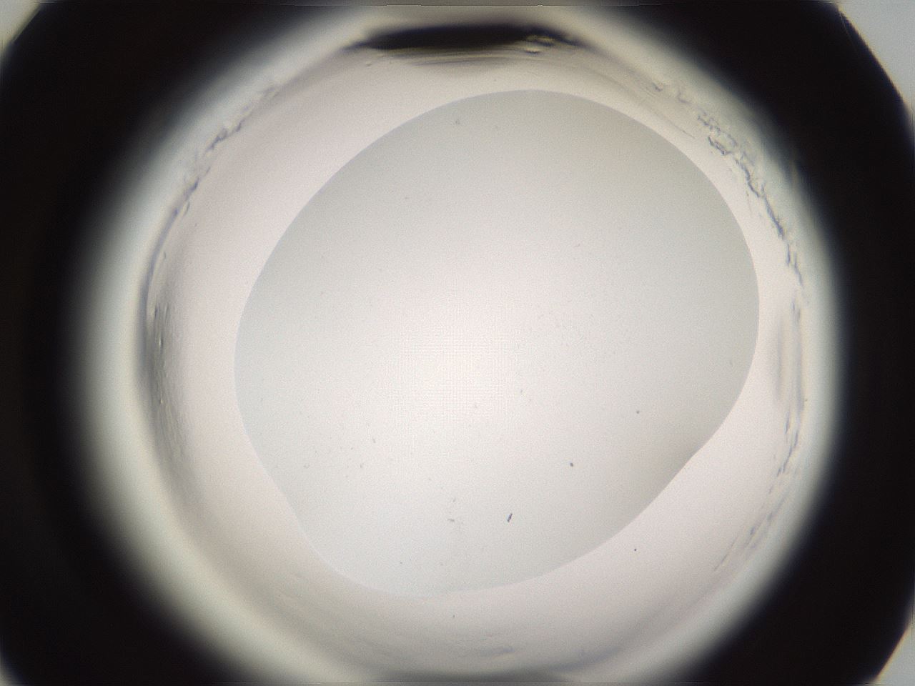 folderID595_plateID2595_batchID13189_wellNum78_profileID1_d3_r206451_ef.jpg