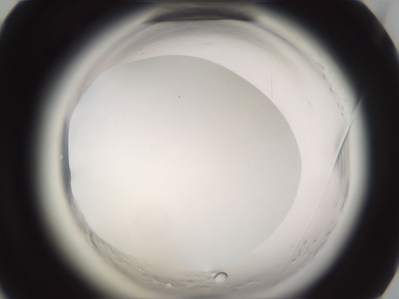 folderID595_plateID2595_batchID13189_wellNum79_profileID1_d1_r206452_ef.jpg