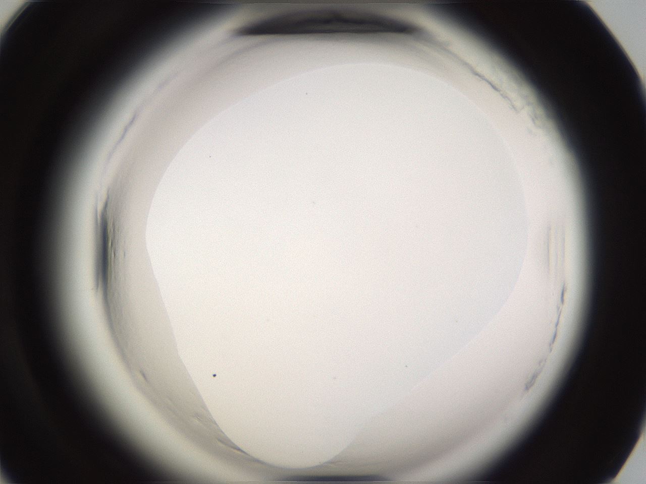folderID595_plateID2595_batchID13189_wellNum90_profileID1_d1_r206485_ef.jpg