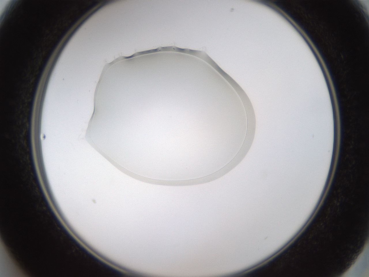 folderID596_plateID1596_batchID6729_wellNum13_profileID1_d2_r106189_ef.jpg
