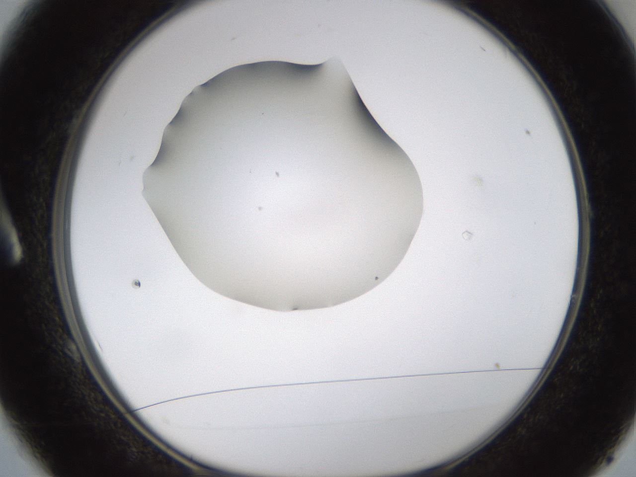 folderID596_plateID1596_batchID6729_wellNum1_profileID1_d1_r106164_ef.jpg