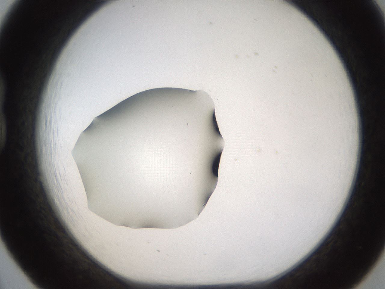 folderID596_plateID1596_batchID6729_wellNum20_profileID1_d1_r106202_ef.jpg